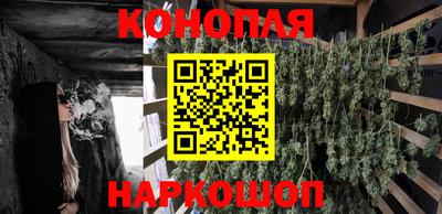 прущие грибы Тула