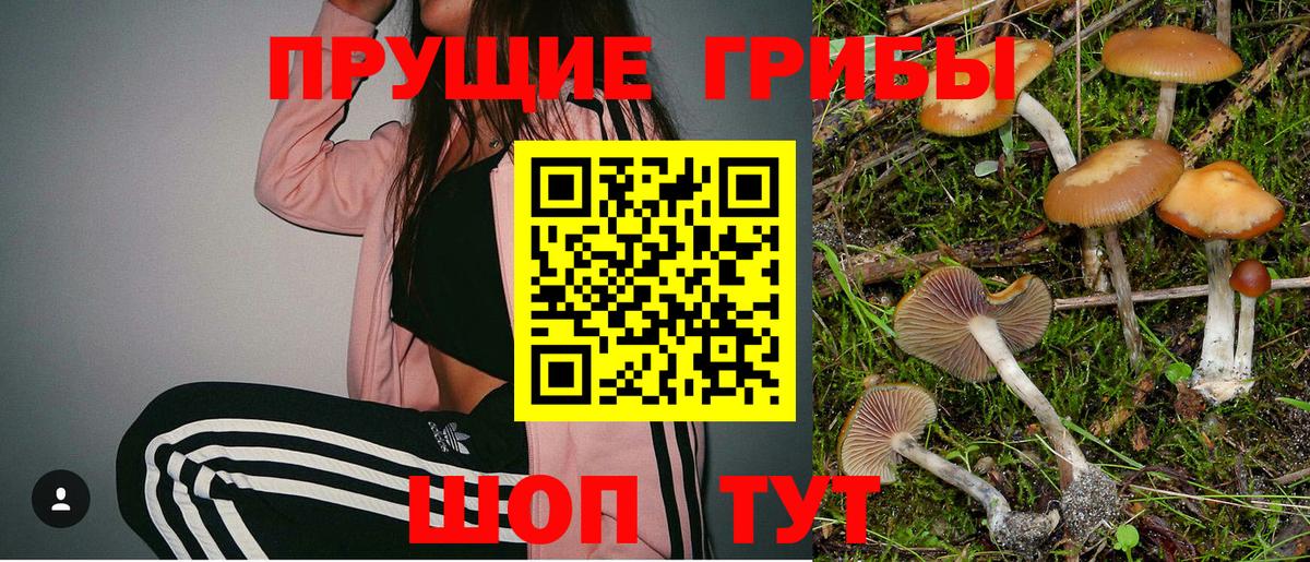 Псилоцибиновые грибы Psilocybine cubensis  Галлюциногенные грибы GOLDEN TEACHER  как найти   Мичуринск  Вход с VPN 