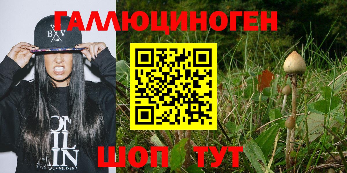Псилоцибиновые грибы мицелий Мичуринск